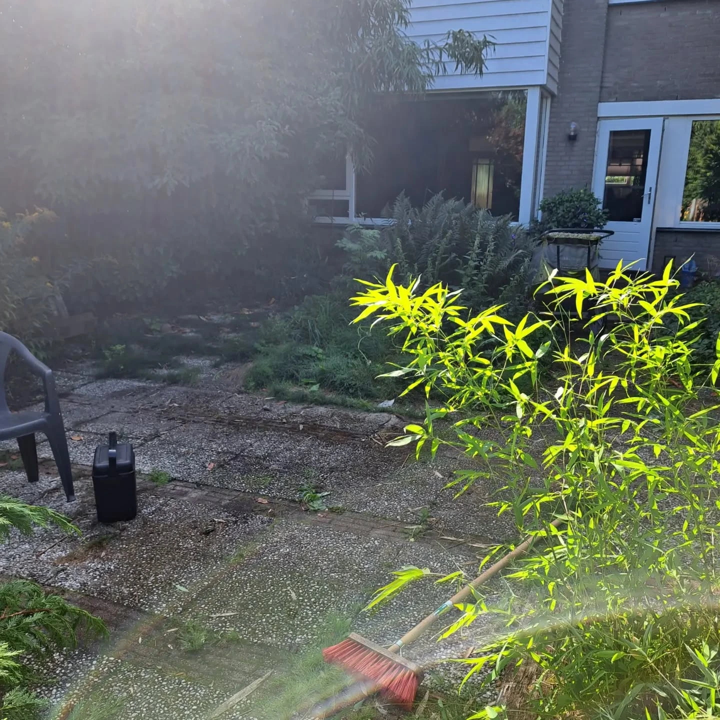 images/projecten/aanleg%20tuin/tuinaanleg-01.webp#joomlaImage://local-images/projecten/aanleg tuin/tuinaanleg-01.webp?width=1440&height=1440
